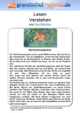 Gartenkreuzspinne - Sachtext.pdf